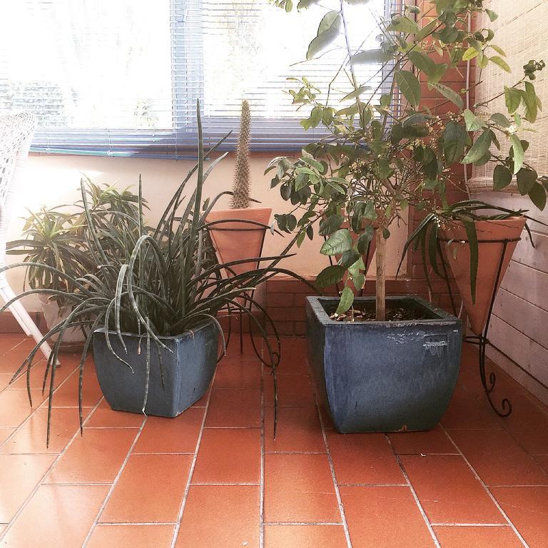 Villa Cetta B&B 산리온 외부 사진