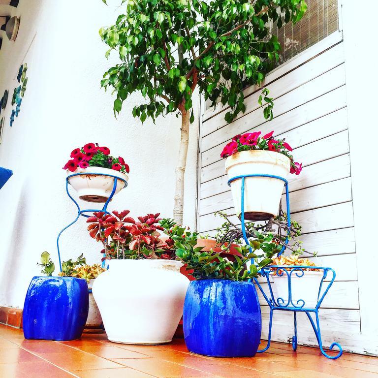 Villa Cetta B&B 산리온 외부 사진